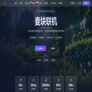 麦块联机 - 一键式云端公益联机平台