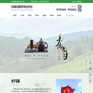 丰顺县马图种养专业合作社,丰顺马图绿茶，小叶高山绿茶，白叶单丛