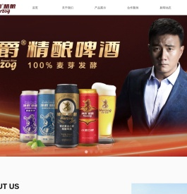 首页-德天意集团