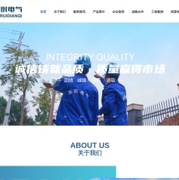 津锐电气（成都）有限公司|四川津锐电气