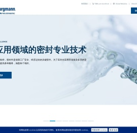 EagleBurgmann China - 机械密封 - EagleBurgmann China