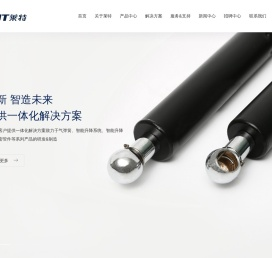 安徽莱特气弹簧有限公司