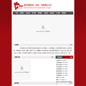 南充发展投资（控股）有限责任公司