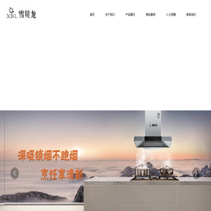 青岛雪贝龙生活电器有限公司,天然气壁挂炉,集成灶.天然气热水器