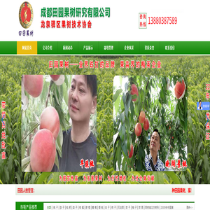 葡萄苗-桃树苗-李子苗-樱桃树苗-柑橘苗-梨树苗-枇杷苗-成都田园果树研究有限公司