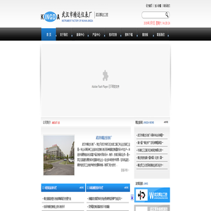 武汉市精达仪表厂