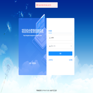 项目综合管理信息系统